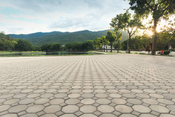 Professional Driveway Pavers in East Camden, SC