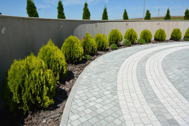 Best Permeable Paver Driveway  in East Camden, SC